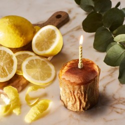 CAN Torta, Happy Birthday -žuta, kolač od Limuna-2 thumb